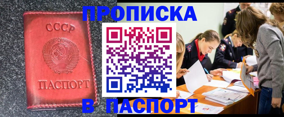 прописка для школы в Кировске